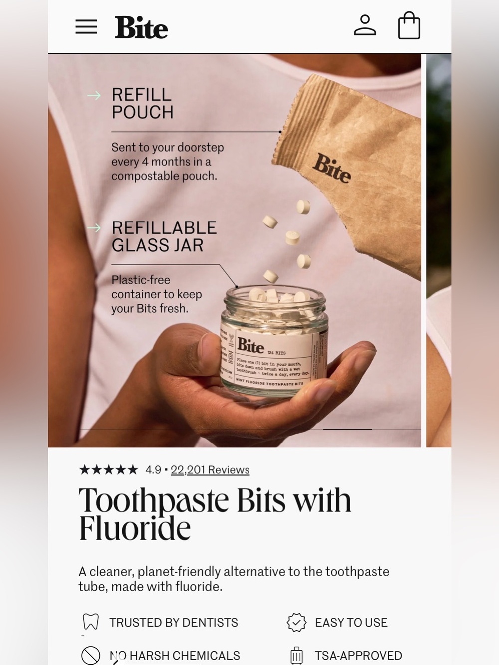 Toothpaste Bits with Fluoride — Refill packs (2)